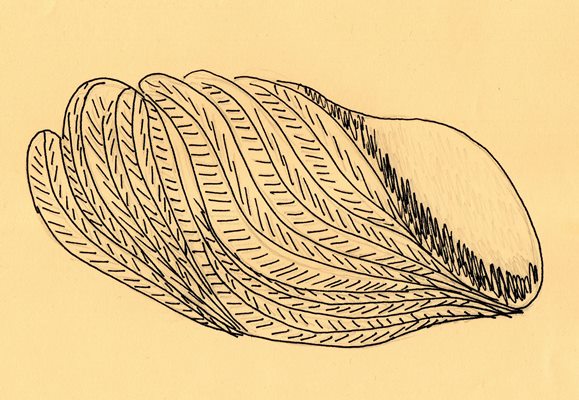 God hears you when you whisper