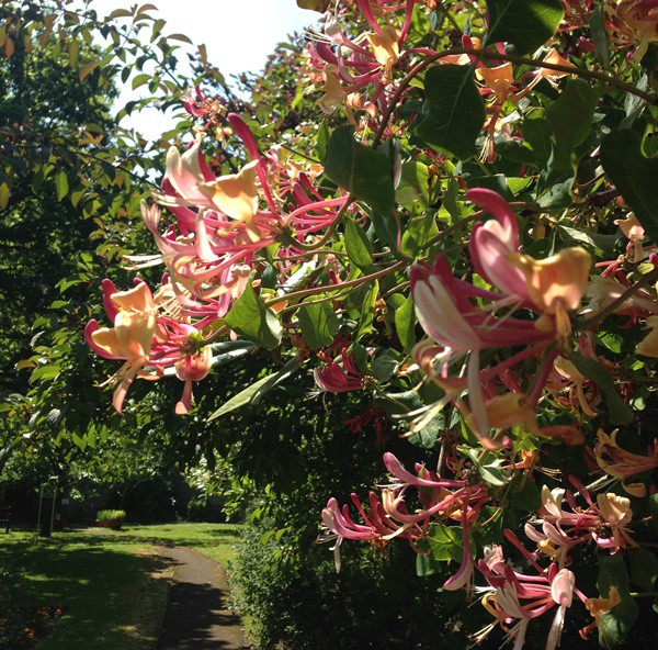 Savouring the solitude of Alton Abbey