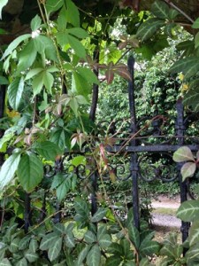 The seclusion of the pre-ordination retreat